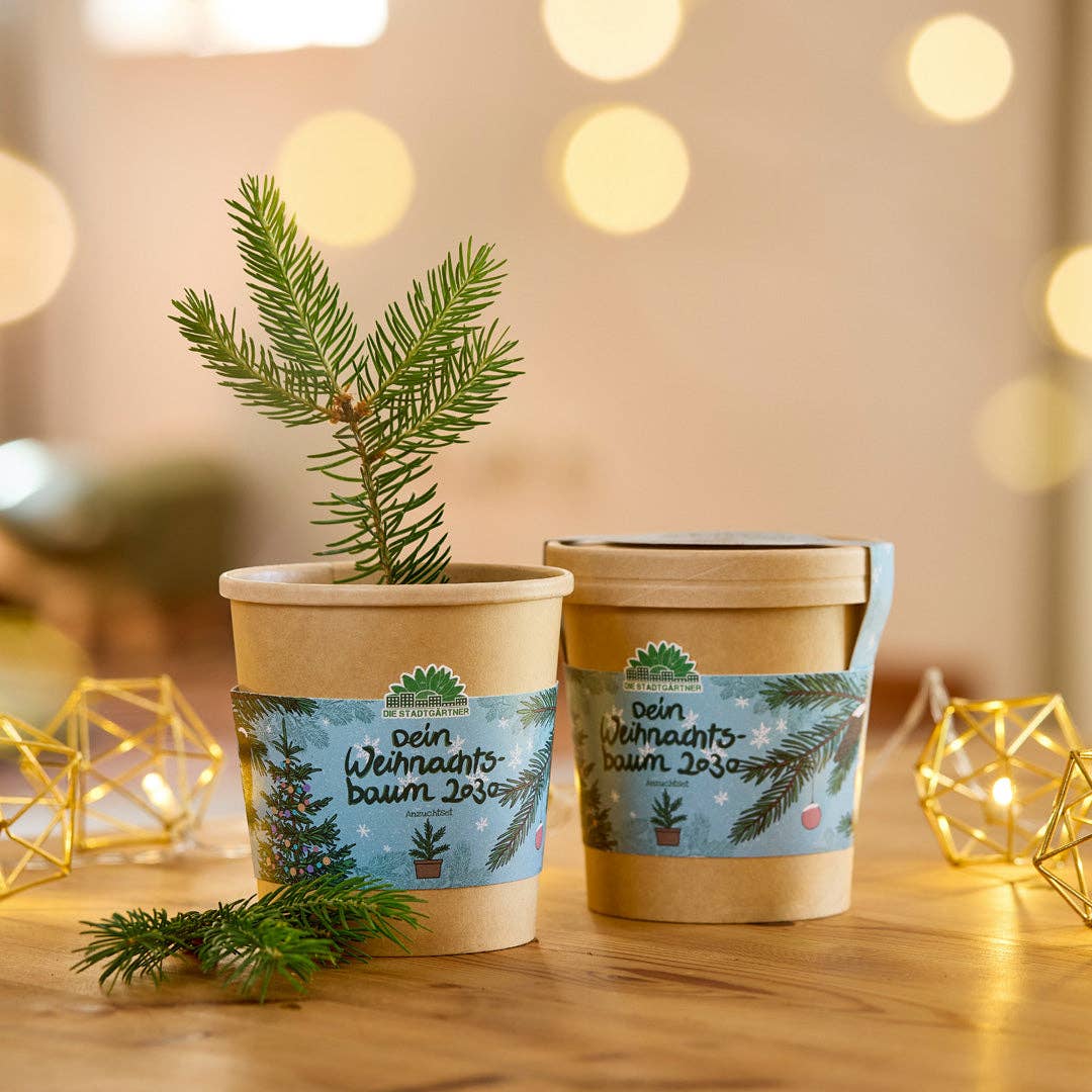 Zwei biologisch abbaubare Stadtgärtner-Tassen mit festlichen Etiketten stehen auf einem Holztisch. In einem steht das Anzuchtset - Weihnachtsbaum aus dem Becher. Dahinter verschwimmen warme Lichterketten und goldenes Dekor und schaffen eine gemütliche Weihnachtsstimmung - ideal für ein Weihnachtsgeschenk.