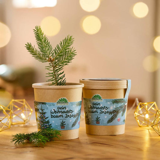 Zwei biologisch abbaubare Stadtgärtner-Tassen mit festlichen Etiketten stehen auf einem Holztisch. In einem steht das Anzuchtset - Weihnachtsbaum aus dem Becher. Dahinter verschwimmen warme Lichterketten und goldenes Dekor und schaffen eine gemütliche Weihnachtsstimmung - ideal für ein Weihnachtsgeschenk.