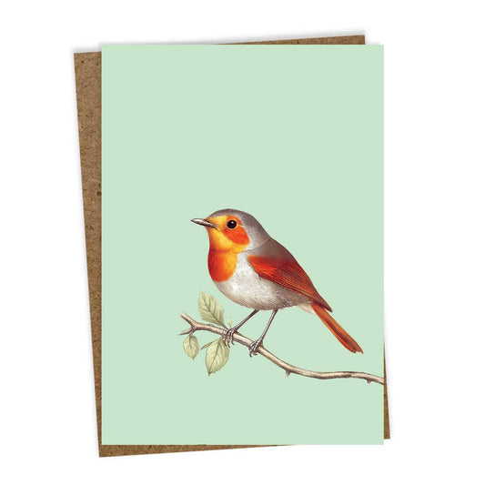 Die 30x40 - Robin Grußkarte zeigt ein Rotkehlchen mit orangefarbener Brust auf einem Ast, gedruckt in Deutschland auf Recyclingpapier, vor hellgrünem Hintergrund.