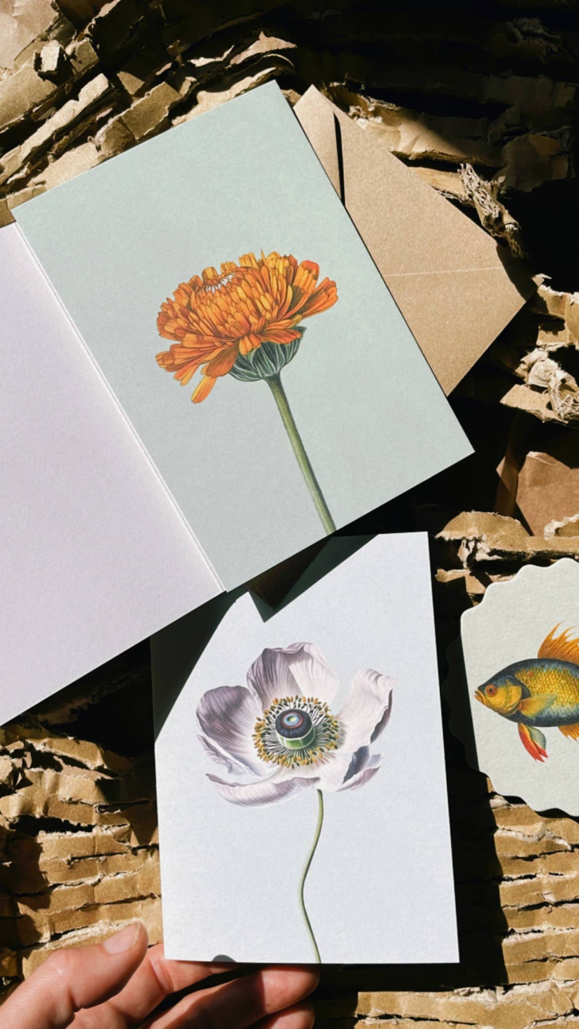 Zwei 30x40 Grußkarten mit botanischen Illustrationen-Ringelblume und weiße Mohnblume-liegen auf strukturiertem Karton. Beide wurden in Deutschland auf Recyclingpapier gedruckt. Eine kleine Karte mit Fischmotiv ist teilweise sichtbar.