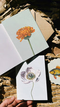 Lade das Bild in den Galerie-Viewer, Zwei 30x40 Grußkarten mit botanischen Illustrationen-Ringelblume und weiße Mohnblume-liegen auf strukturiertem Karton. Beide wurden in Deutschland auf Recyclingpapier gedruckt. Eine kleine Karte mit Fischmotiv ist teilweise sichtbar.
