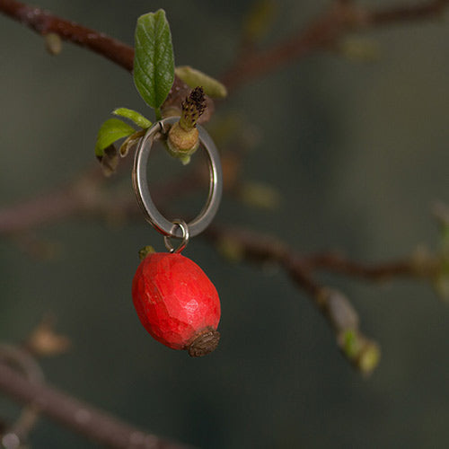 Der handgefertigte Schlüsselanhänger aus Holz | Hagebutte von Wildlife Garden zeigt eine rote, facettierte Perle in botanischem Design an einem braunen Ast mit grünen Blättern vor unscharfem Hintergrund.