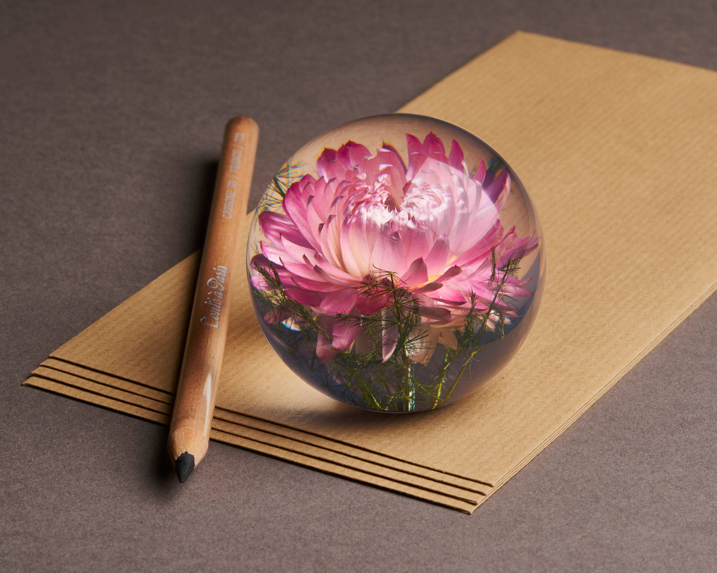 Der Hafod Grange Ltd - Helichrysum Pink Briefbeschwerer, ein runder Briefbeschwerer aus Glas mit einer rosafarbenen Helichrysum-Blüte im Inneren, ruht auf braunem Papier neben einem Holzstift.