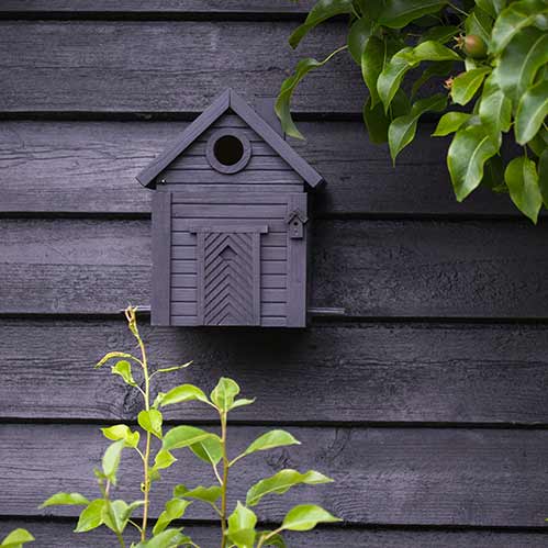Ein Wildlife Garden Nistkasten & Futterhaus in Carbon Black ist an einer passenden dunklen Holzwand montiert, umgeben von üppigen Grünpflanzen.