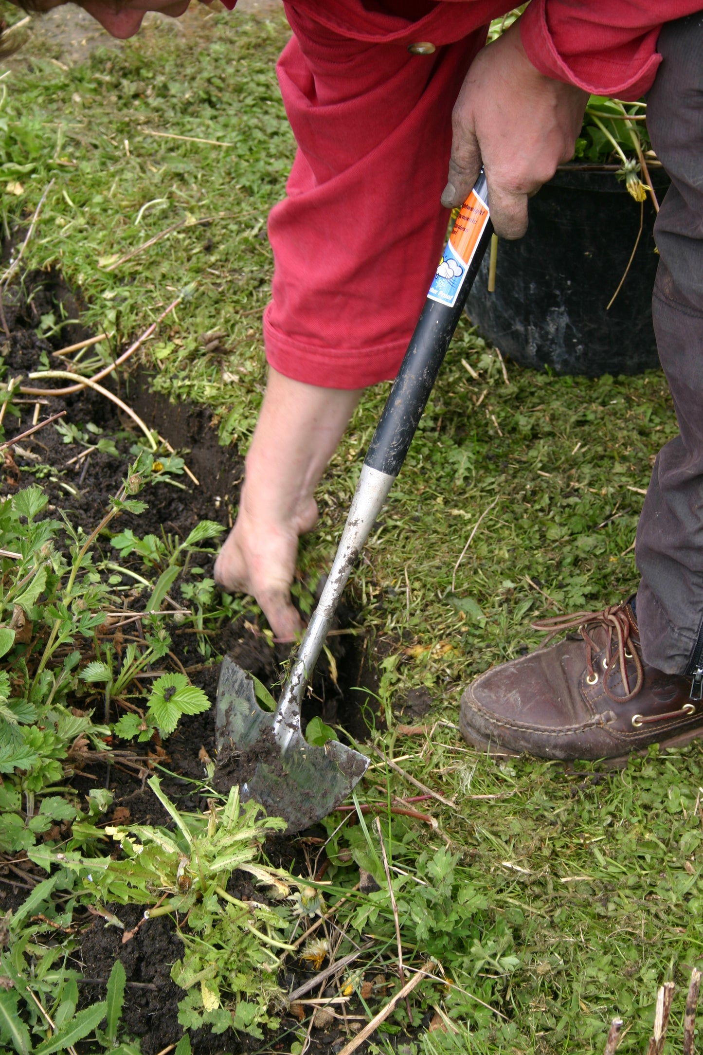 Eine Person mit roten Ärmeln und braunen Schuhen gräbt in der Erde zwischen grünen Pflanzen - ideal für den Mi. 18.03.2026 | 10-12 Uhr WORKSHOP Frühlingsfit: Wie bereite ich meinen Garten auf die neue Saison vor? der Königlichen Gartenakademie.