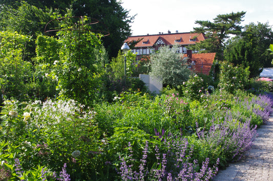 Nehmen Sie an Dr. Isabelle Van Groeningens Halbtageskurs "Gestaltung und Bepflanzung einer Mixed Border" am Sa. 28.03.2026, 13:00-16:00 Uhr, und lernen Sie, üppige, vielfältige Beete mit blühenden Pflanzen und Grünpflanzen für lebendige Gartenwege zu gestalten.