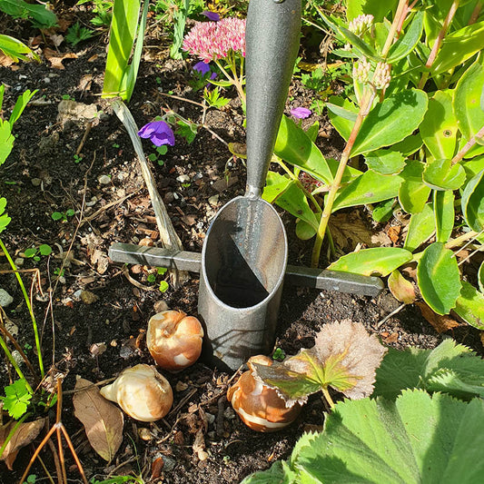 Der Mi. 03.09.2025 | 15.00 - 16.30 Uhr RUNDGANG - Was zu tun ist im Garten im September von der Königlichen Gartenakademie ist ideal für Gärtnerinnen und Gärtner, die zwischen Blüten und grünem Laub im September Tipps zur Bepflanzung und Gartenarbeit suchen.
