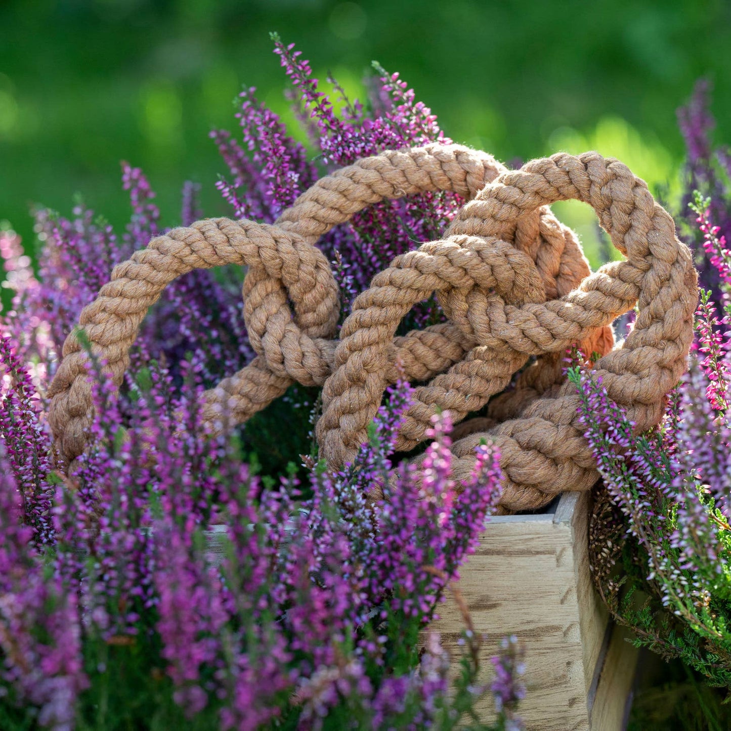 Die LABONI - Volentis GmbH - Britta Brezel, ein dickes, gedrehtes Hundespielzeug aus Baumwolle, ist auf einer Holzkiste aufgerollt und verknotet, umgeben von leuchtenden Heideblumen in einem üppig grünen Garten.