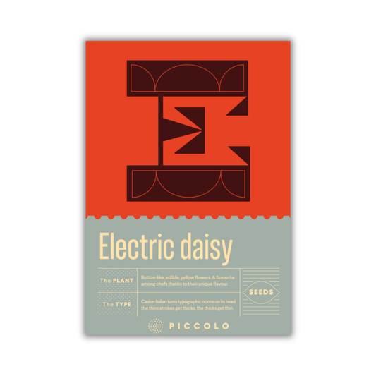Ein Piccolo Seeds - E - Elektrisches Gänseblümchen Saatgutpaket von Piccolo Seeds, mit kühnem abstrakten Design in Rot und Orange, modernen geometrischen Formen, knopfartigen Blüten und hellgelbem Text, der essbare gelbe Blüten hervorhebt.