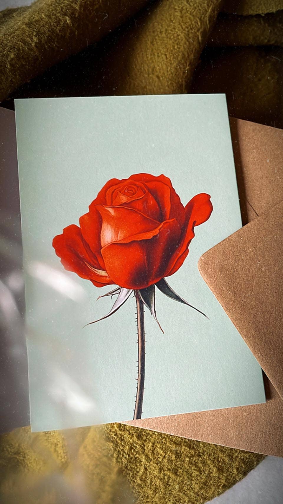 Die 30x40 - Rose Leporello Grußkarte von 30x40 zeigt eine rote Rose auf hellblauem Hintergrund, teils im braunen Umschlag. Gedruckt in Deutschland auf Recyclingpapier mit textiler Struktur im Hintergrund.