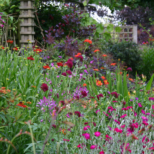 Nehmen Sie an der Königlichen Gartenakademie ZWEI-TAGE-MASTERCLASS (23.-24.10.2025, 10-16:30) mit Dr. Isabelle Van Groeningen teil, um Ihr eigenes üppiges, lebendiges Blumenbeet zu gestalten, inspiriert von fachkundigem Staudenwissen und wilden Sommerwiesen.