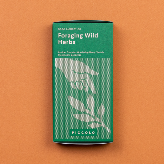 Ein grünes, rechteckiges Piccolo Seeds - Wildkräuter Kollektion "Foraging Wild Herbs" Paket von Piccolo Seeds ruht auf einer orangefarbenen Oberfläche, auf der eine Hand abgebildet ist, die nach einer Pflanze greift, und auf der Kräuter wie Blasen-Lichtnelke, Gut-King-Henry und Löwenzahn aufgeführt sind.