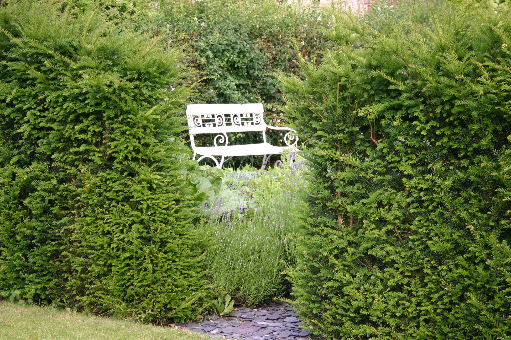 Ein üppiger Garten der Königlichen Gartenakademie, gestaltet von Gabriella Pape, mit Schieferstufen, die an hohen grünen Hecken vorbeiführen, wird im HALBTAGESKURS "Der Garten als Lebensraum" am Mi. 18.02.2026, 09.30-12.30 Uhr erkundet.