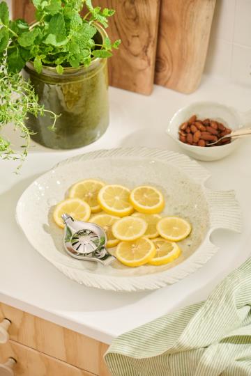 Ein weißer fischförmiger Teller mit Zitronenscheiben und einer IB Laursen Zitronenpresse | Silber steht auf dem Küchentisch, daneben eine Schale mit Mandeln und ein grüner Kräutertopf.