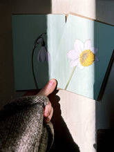 Lade das Bild in den Galerie-Viewer, Eine Hand in einem gestrickten Ärmel hält zwei 30x40 Grußkarten - Schneetropfen Leporello und Narzisse - gedruckt in Deutschland auf Recyclingpapier, die beide teilweise von der Sonne beschienen werden und weiche Schatten auf eine helle Wand werfen.
