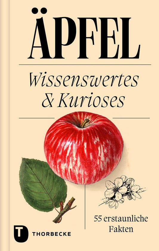 Buchcover mit dem Titel „Äpfel“ vom Thorbecke Verlag mit einer Illustration eines roten Apfels, grünen Blättern, einer Apfelblüte und dem Text „55 erstaunliche Fakten zu Apfelsorten wie der Graue Renette“. Thorbecke-Logo unten.