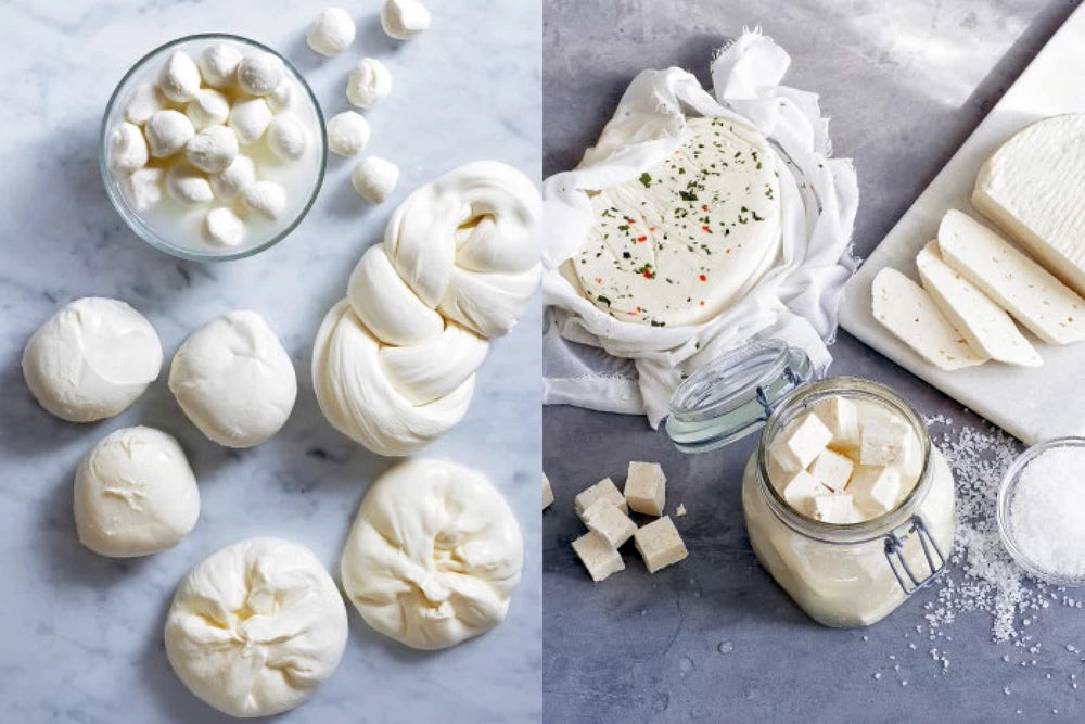 Eine Reihe von frischen Weißkäsesorten ist auf Marmor ausgestellt - links Mozzarellakugeln, -knoten und -rondellen und rechts Kräuterkäse in Gläsern - perfekt für die Herstellung von Rezepten oder hausgemachten Speisen mit der Speisekammer des Hölker Verlags.