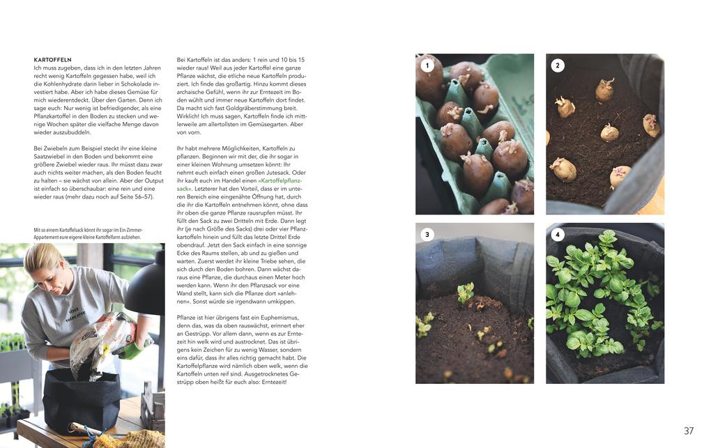Tipps für Gartenanfänger bietet eine Seite aus „Homefarming“ des Gräfe & Unzer Verlags. Links ist ein Text zu sehen, rechts fünf Bilder: Kartoffeln keimen lassen, pflanzen, Triebe austreiben, ausgewachsene Pflanzen und Erde in einen Pflanzkübel geben.