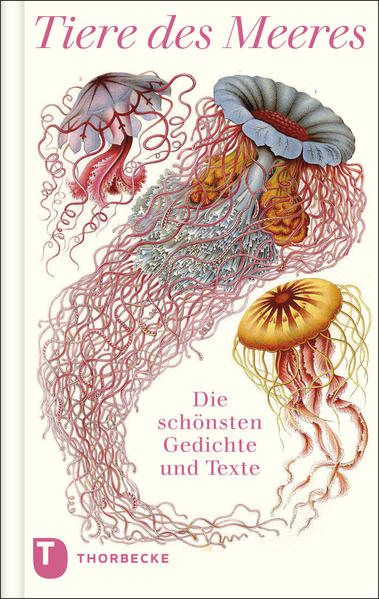 Das Buchcover „Tiere des Meeres“ vom Thorbecke Verlag zeigt farbenfrohe Illustrationen von Quallen, Seepferdchen und Delfinen, mit dem Untertitel „Die schönsten Gedichte und Texte“ und dem Verlagslogo unten links.