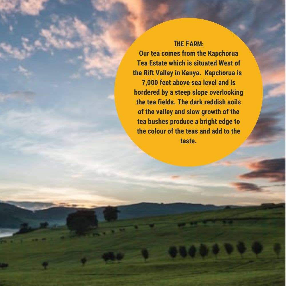 Eine malerische Teeplantage bei Sonnenuntergang mit sanften grünen Hügeln und bewölktem Himmel. Ein gelber Kreis markiert die Kapchorua-Teeplantage in Kenia, die Quelle des losen Tees der Brady's Coffee Company, der für seine einzigartige Höhenlage, seinen Boden und sein Aroma geschätzt wird.