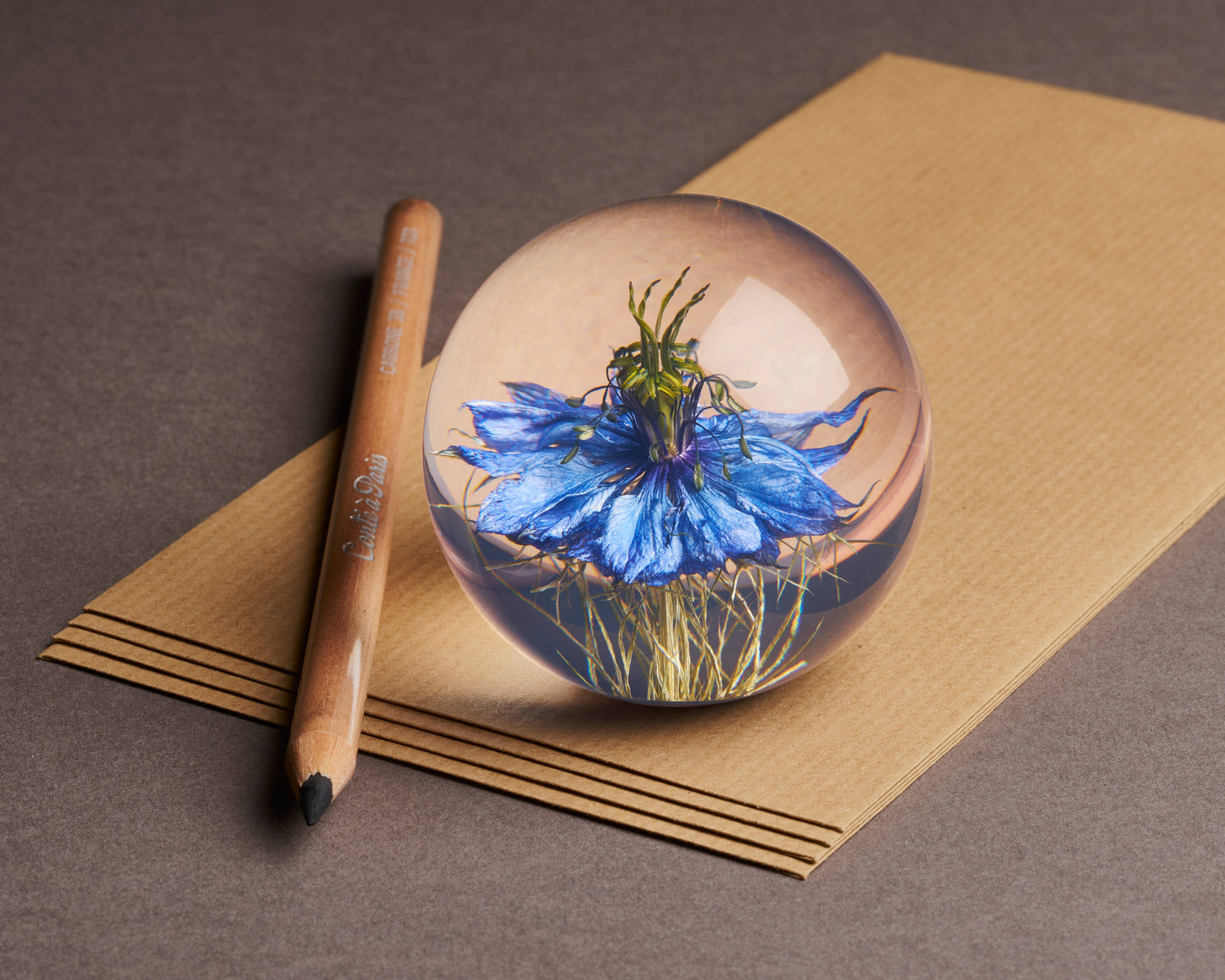 Der Hafod Grange Ltd - Nigella Flower Briefbeschwerer zeigt eine blaue Nigella-Blüte, die in einer klaren Glaskugel vergrößert ist, auf braunem Papier neben einem Holzstift auf einer grauen Fläche.
