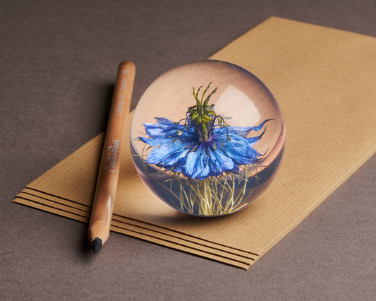 Der Hafod Grange Ltd - Nigella Flower Briefbeschwerer zeigt eine blaue Nigella-Blüte, die in einer klaren Glaskugel vergrößert ist, auf braunem Papier neben einem Holzstift auf einer grauen Fläche.