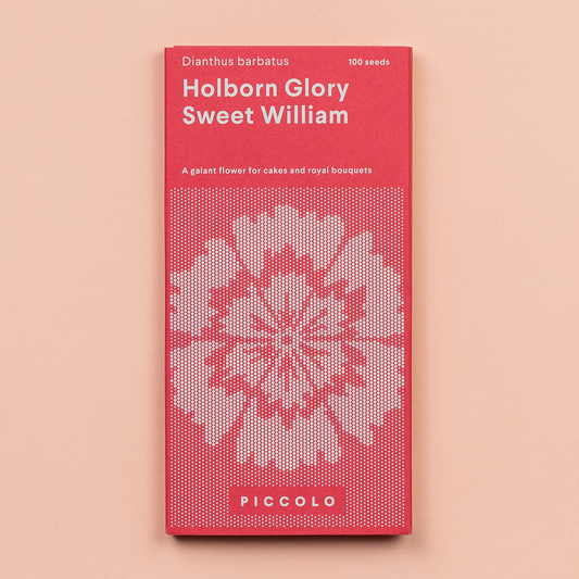 Eine rot-rosa Saatgutpackung mit der Aufschrift Piccolo Seeds - Der süße William Holborn Glory zeigt ein geometrisches Blumenmuster, Dianthus barbatus, essbare Blütenblätter, 100 Samen und die Marke Piccolo Seeds auf einem hellen pfirsichfarbenen Hintergrund.