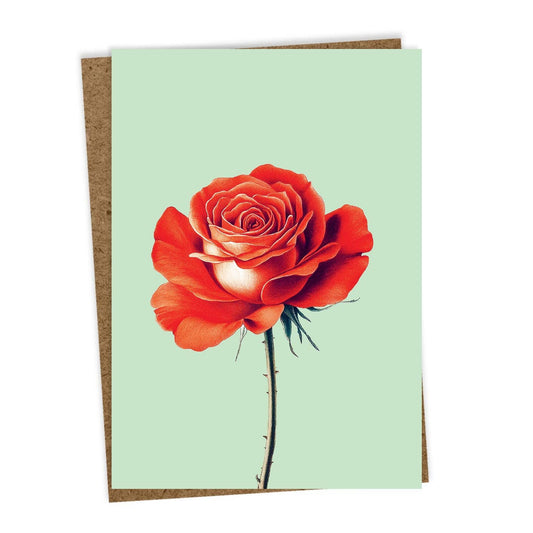 Die 30x40 Rose Leporello Grußkarte zeigt eine realistische rote Rose auf hellgrünem Hintergrund, ist in Deutschland auf Recyclingpapier gedruckt und wird blanko mit schlichtem braunem Umschlag geliefert.