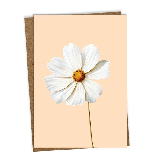 Die 30x40 Cosmea Grußkarte (Leporello-Karte) zeigt eine weiße Margerite auf pfirsichfarbenem Grund, liegt auf einem braunen Recyclingpapier-Umschlag und wurde in Deutschland hergestellt.