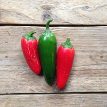 Lade das Bild in den Galerie-Viewer, Piccolo Seeds - Peperoni Jalapeño M
