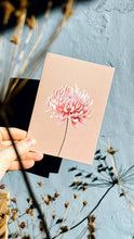Lade das Bild in den Galerie-Viewer, Eine Hand hält eine rosafarbene 30x40 Chrysanthemen-Grußkarte (Leporello-Karte), die eine einzelne rosafarbene Chrysantheme auf blau-grauem, strukturiertem Hintergrund zeigt, gedruckt auf Recyclingpapier in Deutschland, mit Schatten von getrockneten Pflanzen in der Nähe.
