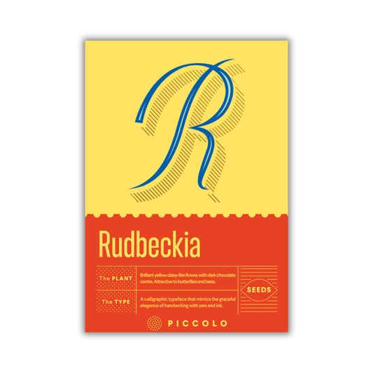 Saatgutpackungsdesign für Piccolo Seeds - R - Rudbeckia von Piccolo Seeds, mit einem großen dekorativen R auf gelbem Hintergrund mit roten Akzenten, gänseblümchenartige Blüte, kalligraphischer Text und Punkt-/Gittermuster.