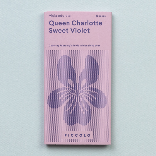 Auf einem hellblauen Päckchen von Piccolo Seeds sind „Süße Veilchenkönigin Charlotte“, eine stilisierte violette Blume, der Text „Parfums Veilchen“, 25 Samen und der Satz „Covering Februarys fields in blue since ever“ (Bedeckt die Felder des Februars seit jeher in Blau) abgebildet.