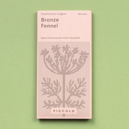 Eine rosa Piccolo Seeds - Fenchelbronze Packung mit einer gepunkteten Pflanzenillustration liegt auf einem hellgrünen Hintergrund. Die Vorderseite zeigt "Foeniculum vulgare, Bronzefenchel, 150 Samen" und hebt seinen charakteristischen Lakritzgeschmack hervor.