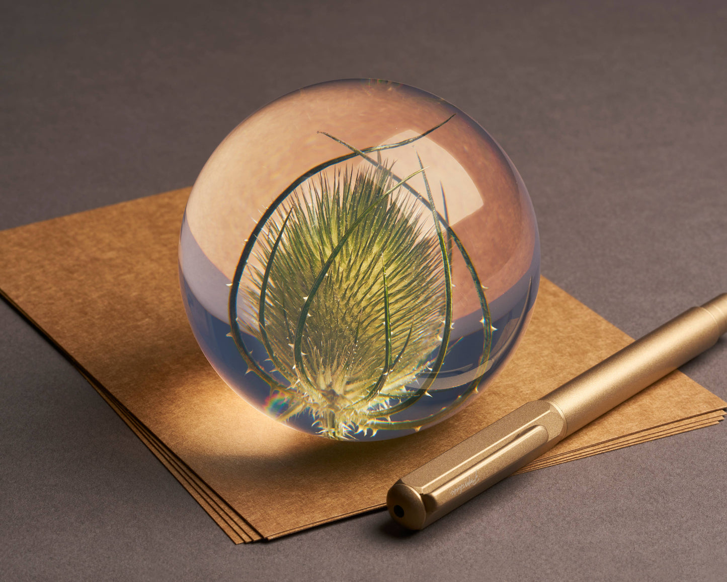 Der Hafod Grange Ltd - Briefbeschwerer von Teasel, ein runder Briefbeschwerer aus Glas mit einer grünen Distel im Inneren, liegt auf braunen Papierbögen neben einem goldenen Stift auf einer grauen Fläche.