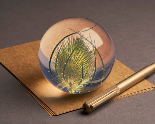 Der Hafod Grange Ltd - Briefbeschwerer von Teasel, ein runder Briefbeschwerer aus Glas mit einer grünen Distel im Inneren, liegt auf braunen Papierbögen neben einem goldenen Stift auf einer grauen Fläche.
