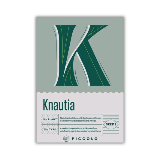 Eine Piccolo Seeds-Packung für Piccolo Seeds - K - Knautien zeigt ein großes grünes "K", weist auf die bienenfreundlichen lila-blauen Blüten hin und trägt eine A SEEDS-Plakette in einem schlichten, modernen Design mit botanischen und typografischen Akzenten.