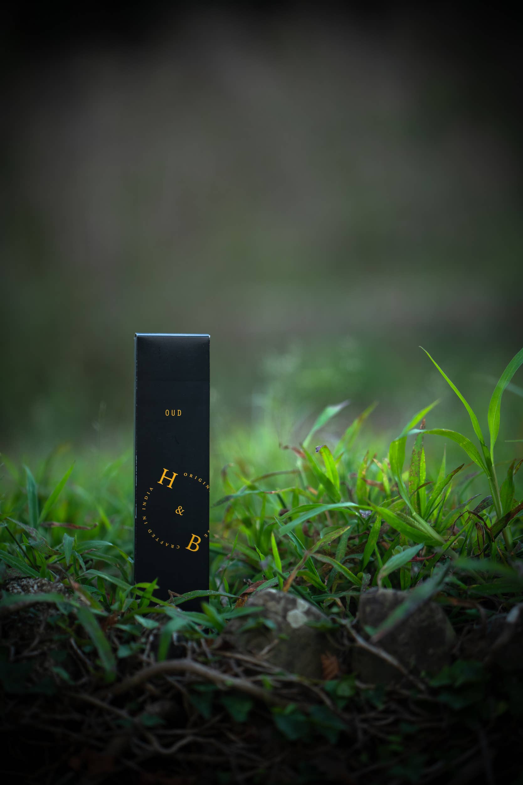 Eine schwarze, rechteckige Schachtel mit H&B Weihrauch - Natürlicher Oud-Weihrauch steht aufrecht in grünem Gras mit einem verschwommenen natürlichen Hintergrund, der an den holzigen Duft von natürlichem Oud und Weihrauch erinnert.