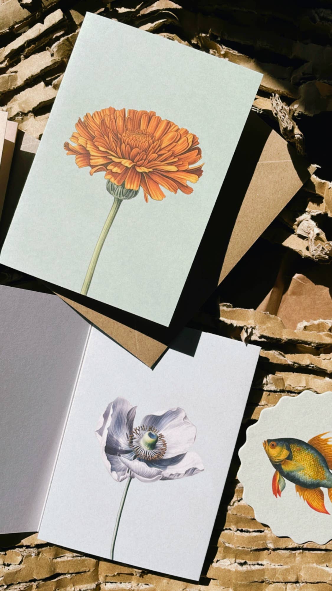 Die 30x40 - Anemone Leporello Grußkarte von 30x40 zeigt ein orangefarbenes Blumendesign und liegt als offene Karte auf Recyclingpapier-Karton neben braunen Umschlägen, gedruckt in Deutschland.
