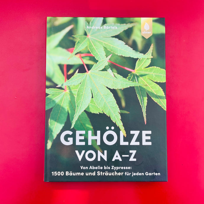 Buch - Gehölze von A - Z