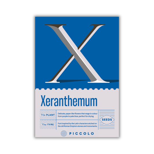 Eine blau-weiße Piccolo Seeds-Packung zeigt ein großes X, darunter "Xerantheme", und beschreibt ihre papierartigen Blüten in Schattierungen von Lila bis Hellblau. Das Piccolo Seeds-Logo ist am unteren Rand abgebildet.