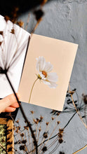 Lade das Bild in den Galerie-Viewer, Eine Hand hält die 30x40 Cosmea Grußkarte (Leporello-Karte) aus Recyclingpapier mit Gänseblumen-Illustration. Im Vordergrund sind getrocknete Pflanzenstiele und Schatten vor einer grauen Wand. Gedruckt in Deutschland.
