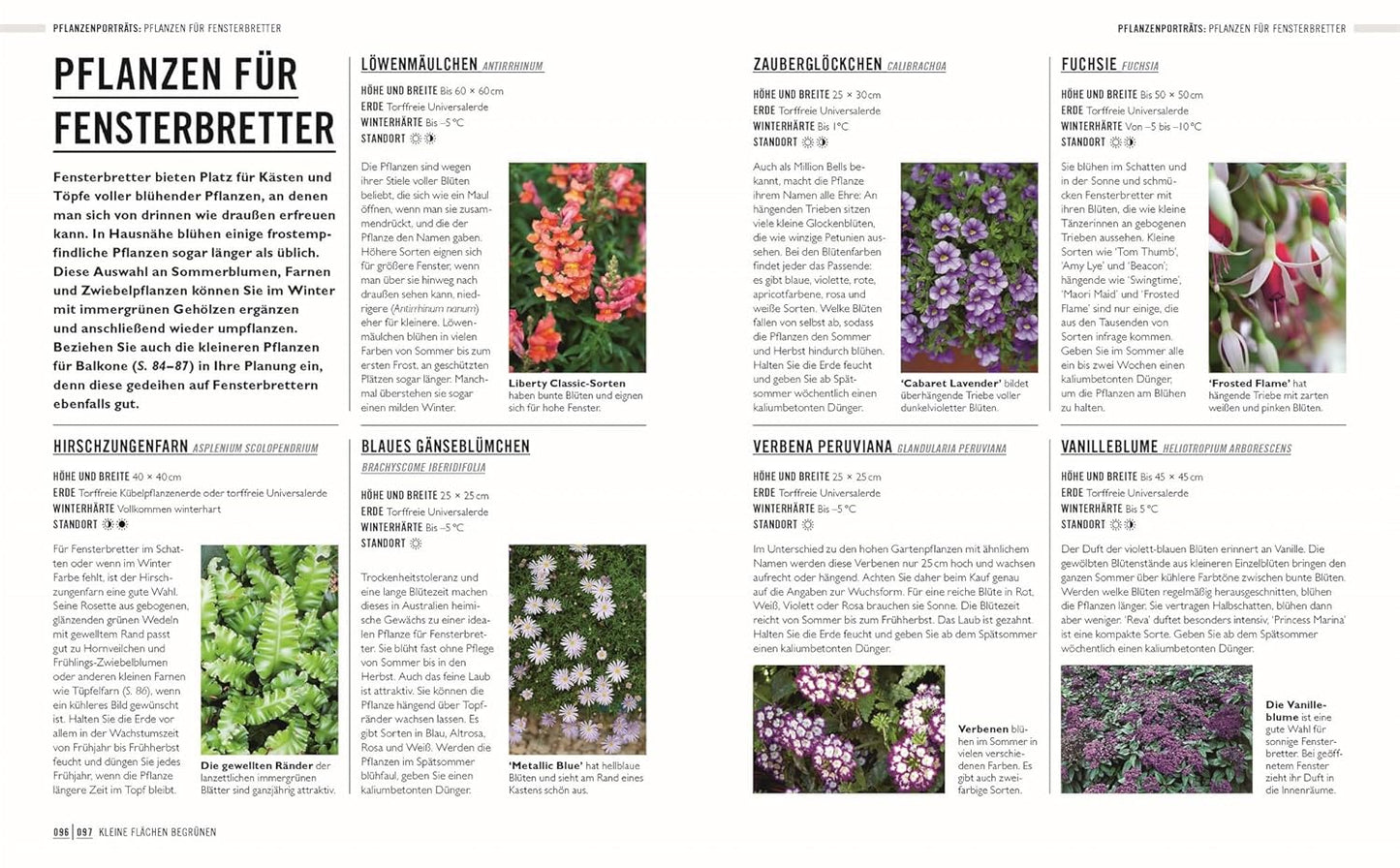 Auf der Magazinseite "Kleine Gärten optimal gestaltet" des DK Verlags finden sich Textkolumnen, Pflanzennamen, Pflegetipps und Blütenfotos - ideale Inspirationen für die Gestaltung eines lebendigen Balkongartens oder einer Stadtoase.