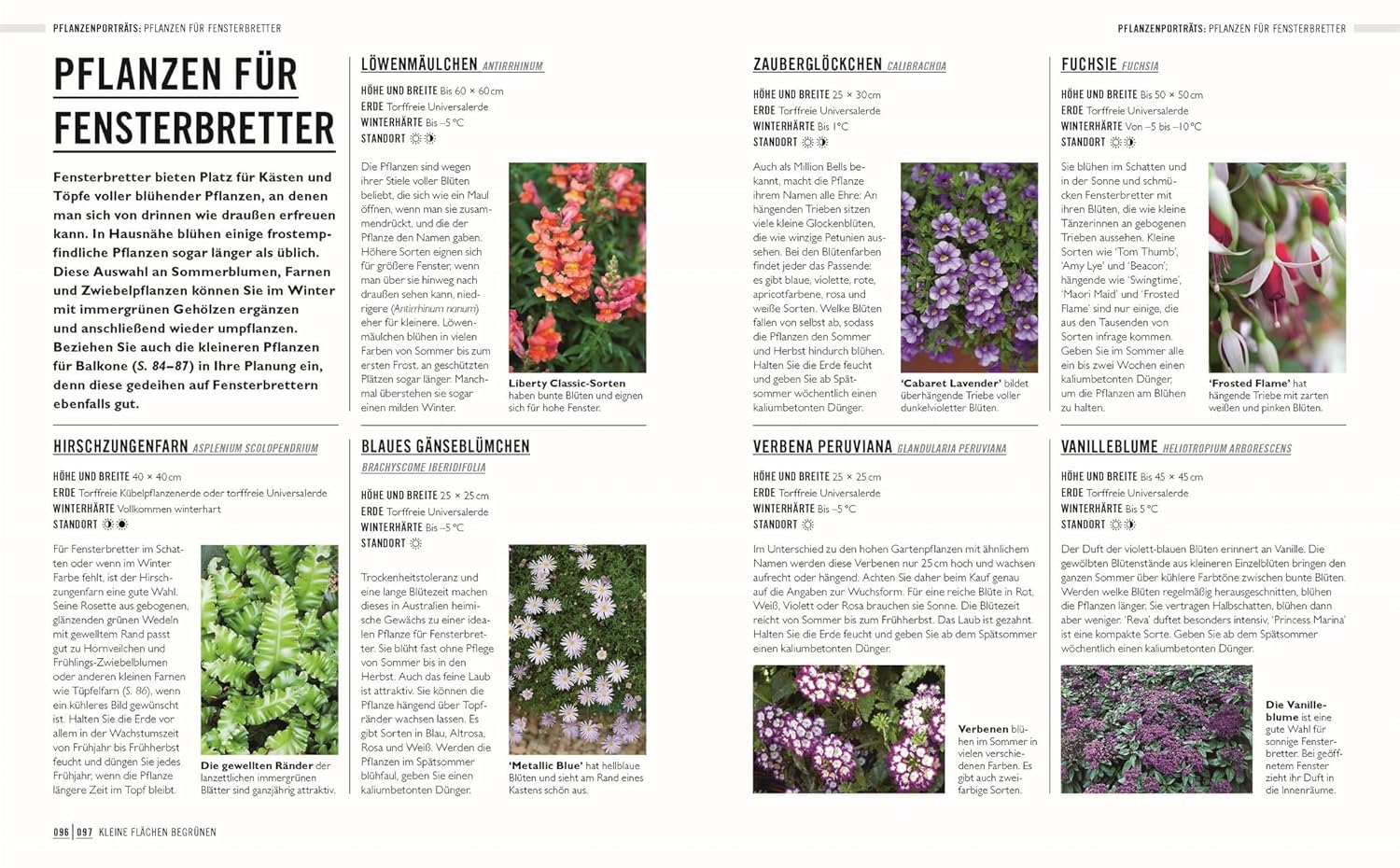 Auf der Magazinseite "Kleine Gärten optimal gestaltet" des DK Verlags finden sich Textkolumnen, Pflanzennamen, Pflegetipps und Blütenfotos - ideale Inspirationen für die Gestaltung eines lebendigen Balkongartens oder einer Stadtoase.