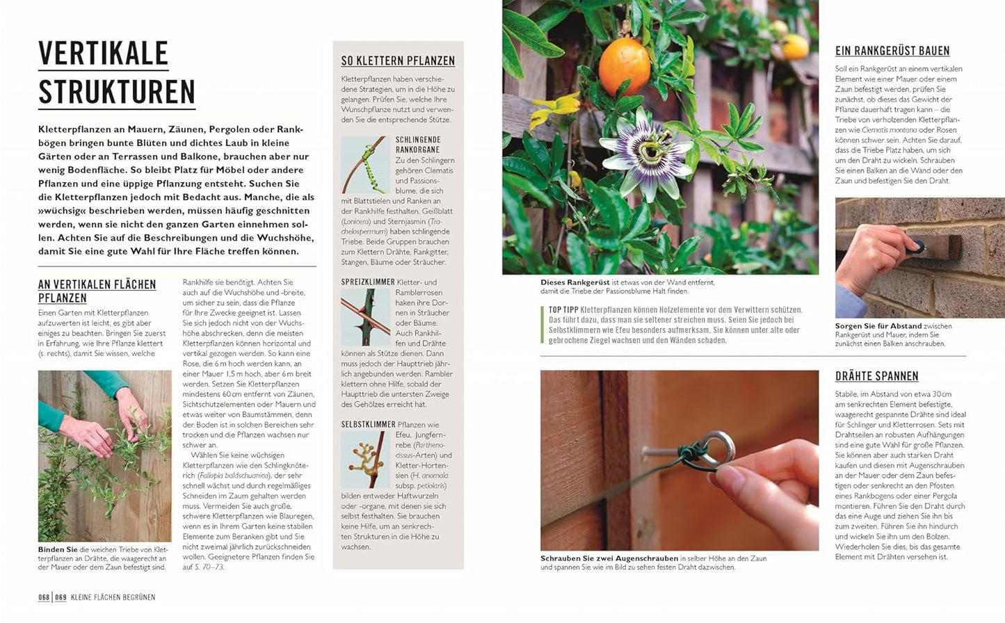 Eine Seite aus "Kleine Gärten optimal gestaltet" des DK Verlags zeigt einen deutschen Text zum vertikalen Gärtnern mit Fotos vom Anbinden von Pflanzen an Spalieren, einer Passionsblumenranke, dem Befestigen von Draht an einer Wand und Nahaufnahmen von Schrauben und Dübeln.