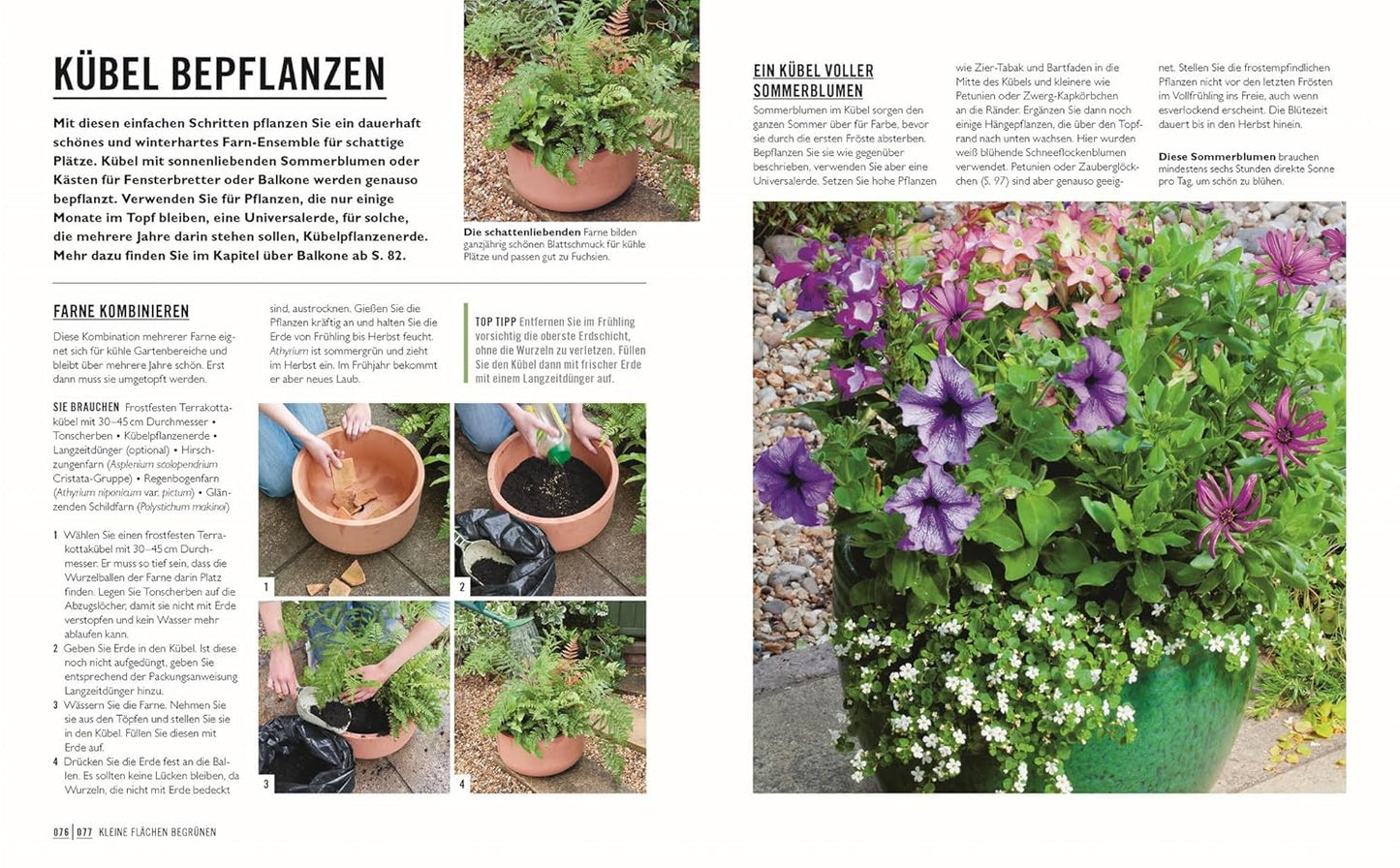 Das DK Verlag Buch "Kleine Gärten optimal gestaltet" bietet eine Schritt-für-Schritt-Anleitung auf Deutsch für einen blühenden Topf mit lila Petunien, Clematis und weißen Blumen - perfekt für Stadtgarten oder Balkon.