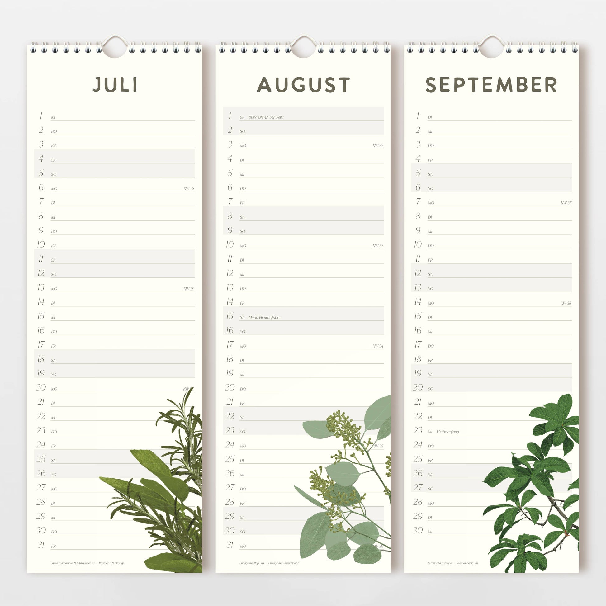 Der Wildblumen Atelier Wandkalender 2026 zeigt Juli-September in Spalten mit handgezeichneten Blumen auf FSC-zertifiziertem Naturpapier - ideal als stilvoller und umweltfreundlicher Wandkalender.