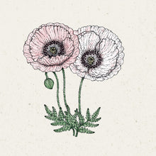 Lade das Bild in den Galerie-Viewer, Jora Dahl - Papaver rhoeas ‘Mother of Pearl’ (Klatschmohn)
