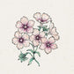 Zarte Illustration von sechs hellrosa Jora Dahl | Phlox drummondii 'Crème Brûlée' (Sommerphlox) Blüten mit grünen Stängeln und Blättern, gezeichnet mit feinen Linien auf einem strukturierten cremefarbenen Hintergrund. Jede Blüte hat fünf Blütenblätter und ist zart rosa schattiert.