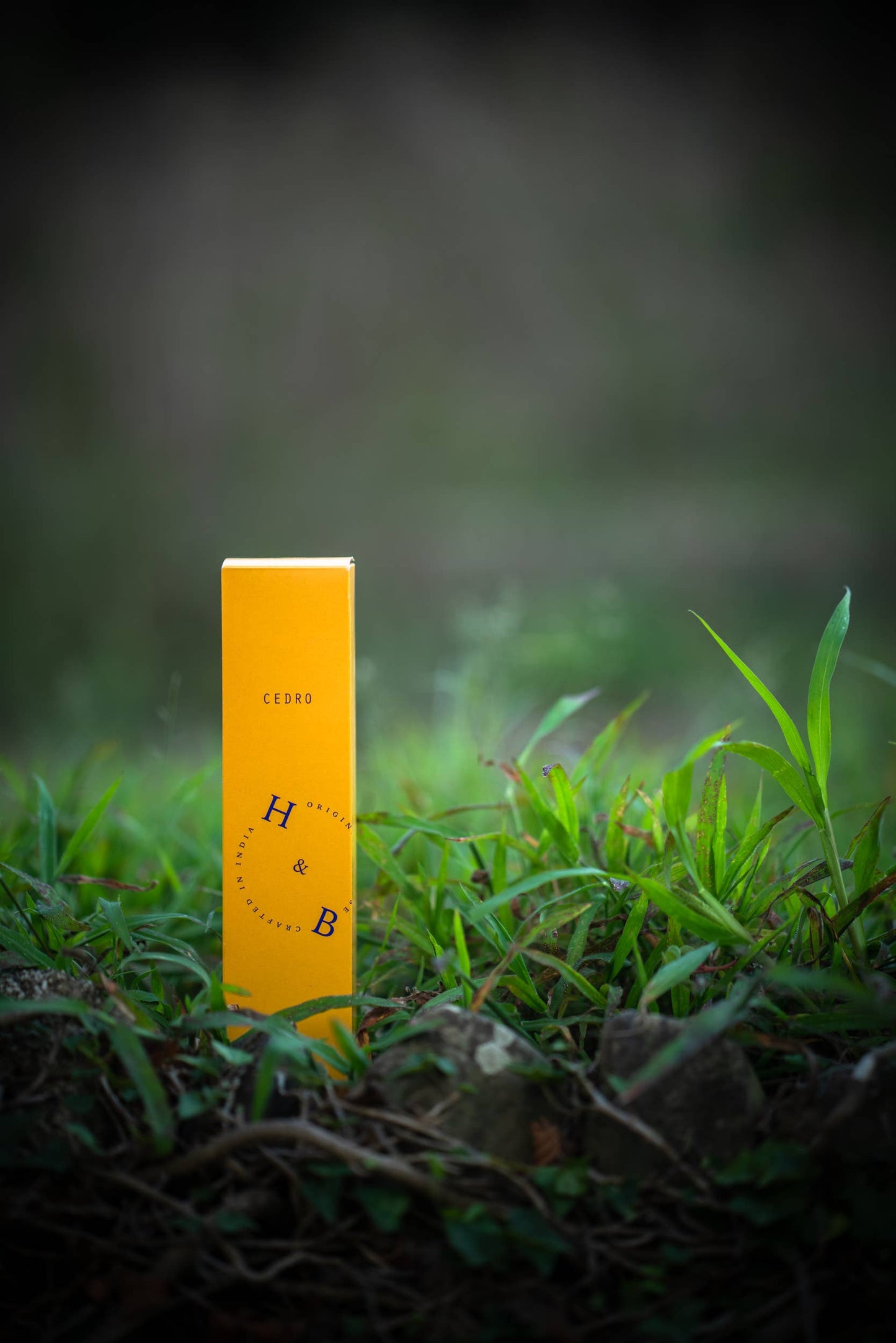 Eine hohe, rechteckige gelbe Schachtel mit der Aufschrift H&B Weihrauch steht inmitten von Gras und Pflanzen und suggeriert H&B Weihrauch - Natürlicher Zedern-Weihrauch, ein natürliches Insektenschutzmittel, das sich perfekt für Yoga und Meditation eignet, mit einem verschwommenen Hintergrund im Freien.